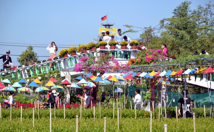 Mot goc lang hoa Sa Dec, noi du kien se xac lap ky luc Viet Nam ve hoa kieng. Anh: Thanh Mai