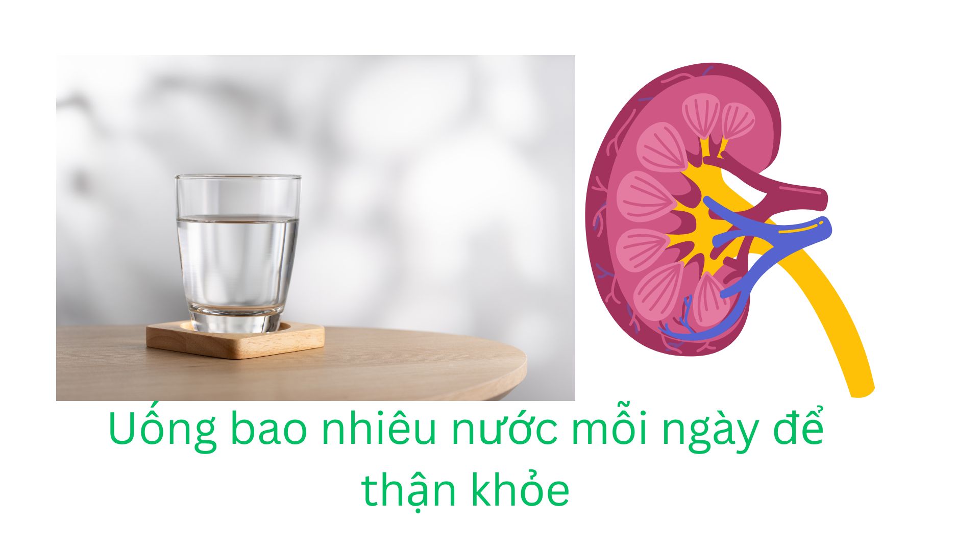 The amount of water each person drinks each day for healthy kidneys depends on many factors. Graphics: Que Chi