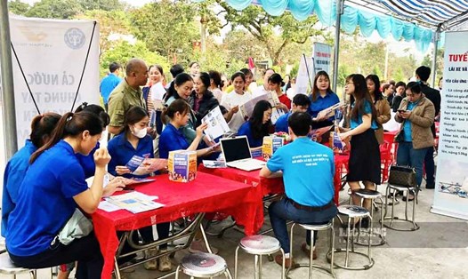 Các chương trình kết nối, tư vấn, giới thiệu việc làm tại vùng sâu, vùng xa góp phần giảm nghèo bền vững tại tỉnh Tuyên Quang. Ảnh: Huy Hoàng.