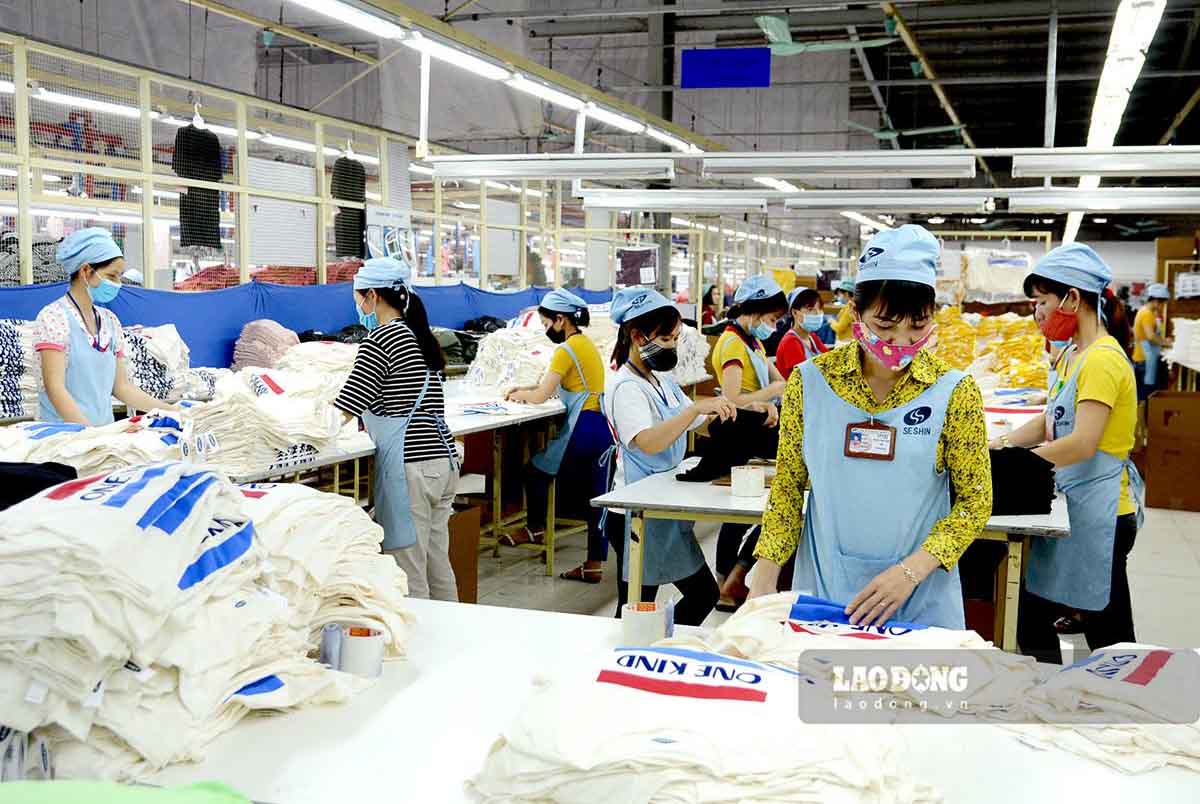 Nhieu ho ngheo tai Tuyen Quang da tung buoc thoat ngheo nho co viec lam, thu nhap on dinh. Anh: Huy Hoang.
