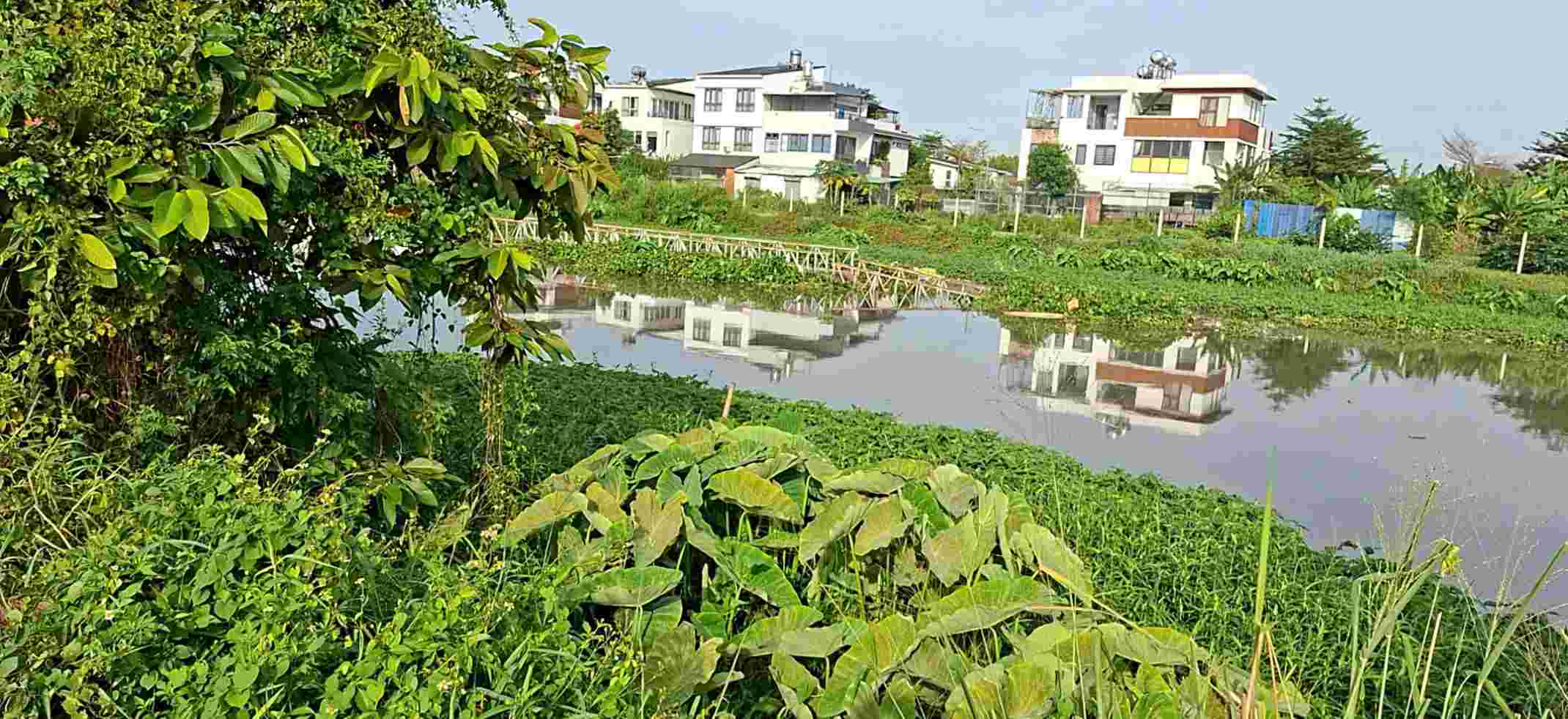 Ong Bo 川に流された生活橋。写真: Binh Duong 水利支局