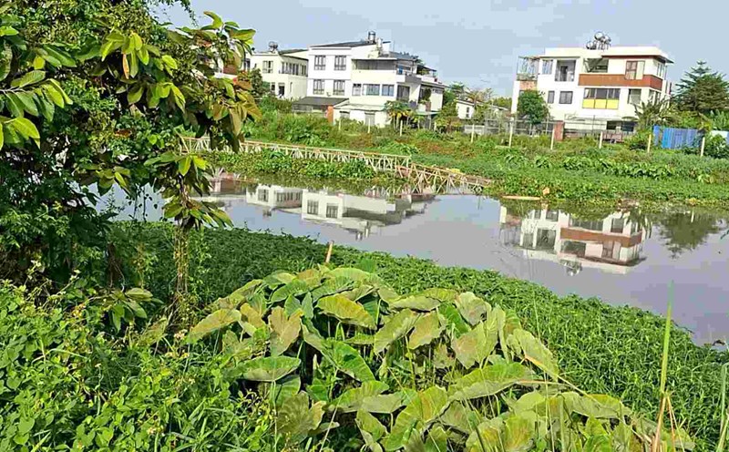 A bridge for people was swept away in Ong Bo canal. Photo: Binh Duong Irrigation Department