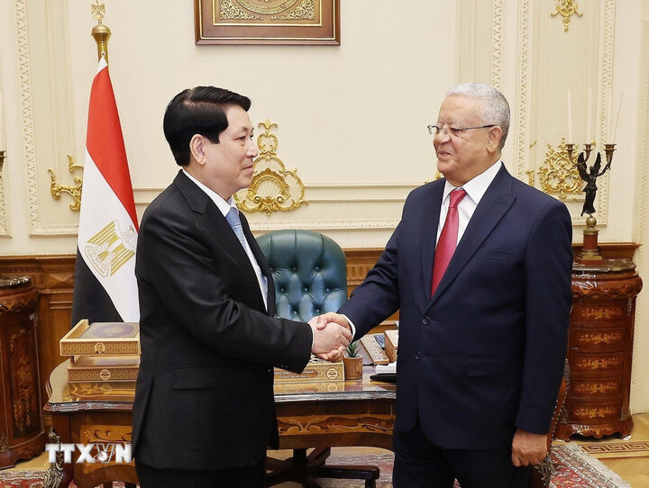 Politburo member and President Luong Cuong and Speaker of the Egyptian House of Representatives Hanafy El Gebaly. Photo: VNA