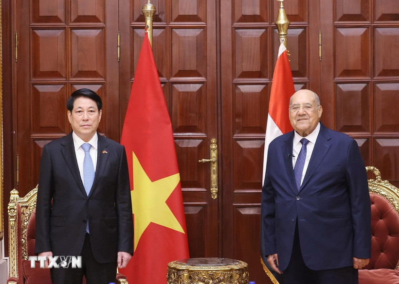 Politburo member and President Luong Cuong and President of the Egyptian Senate Abdel- Wahab Abdel- Razeq. Photo: VNA