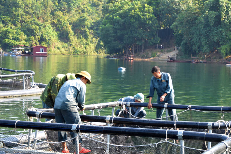 Nguoi nuoi ca long ban La Muong, xa Muong La kiem tra va gia co lai long nuoi ca. Anh: Truong Son