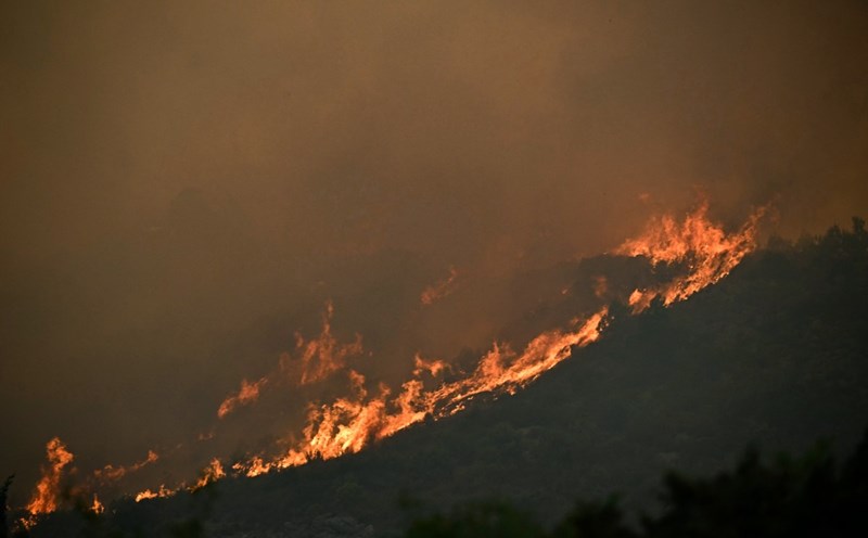 Scene of a forest fire in the Corbieres hills (France) on August 6. Photo: AFP