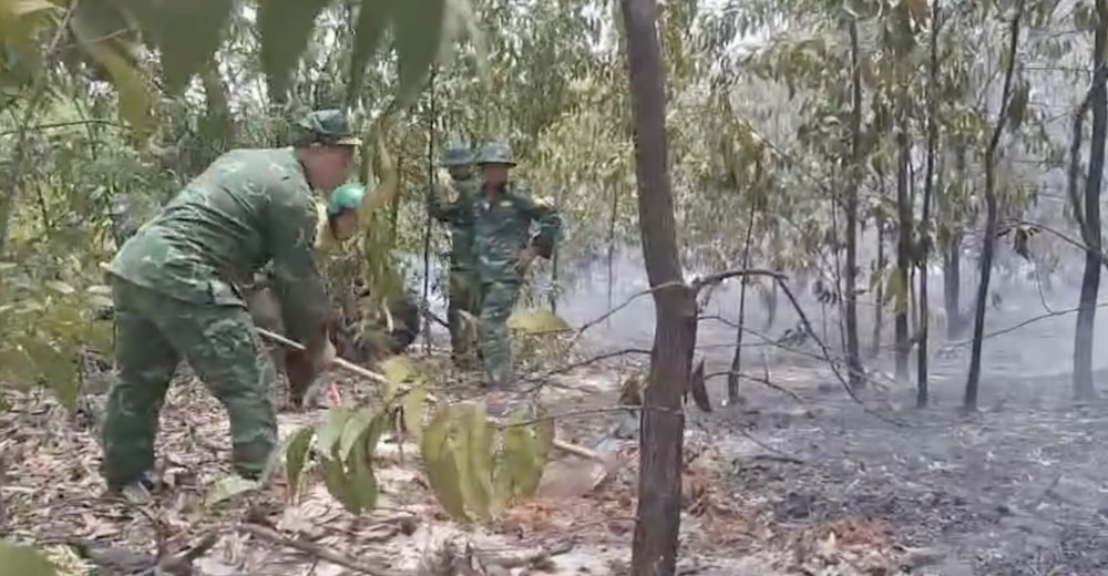 Scene de l'incendie de foret qui vient de se declarer a Hue.2025. Photo : EVN Hue