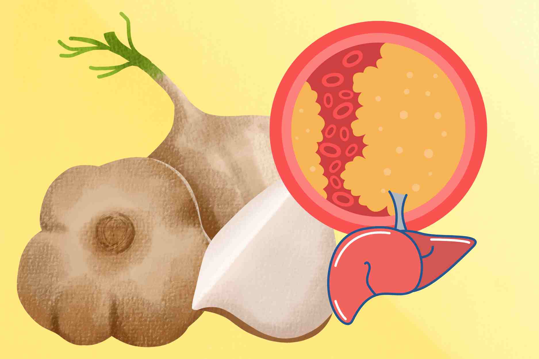 Legumes frais et rafraîchissants pour reduire la graisse sanguine et stabiliser le taux de proteine hepatique