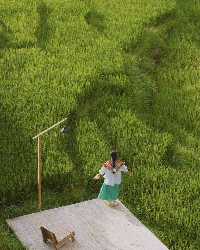 Nam nay Van Anh kham pha them mot diem ngam lua dep tai Lao Chai la La Coffee, mot quan ca phe moi huong ra thung lung lua xanh muot. Du doan mua lua chin Lao Chai se roi vao dau thang 9. Tuy vay, thay vi doi cao diem mua lua chin dong khach, ban co the du lich Sa Pa tan huong thoi tiet dep va ngam lua len dong xanh mon mon ngay bay gio.