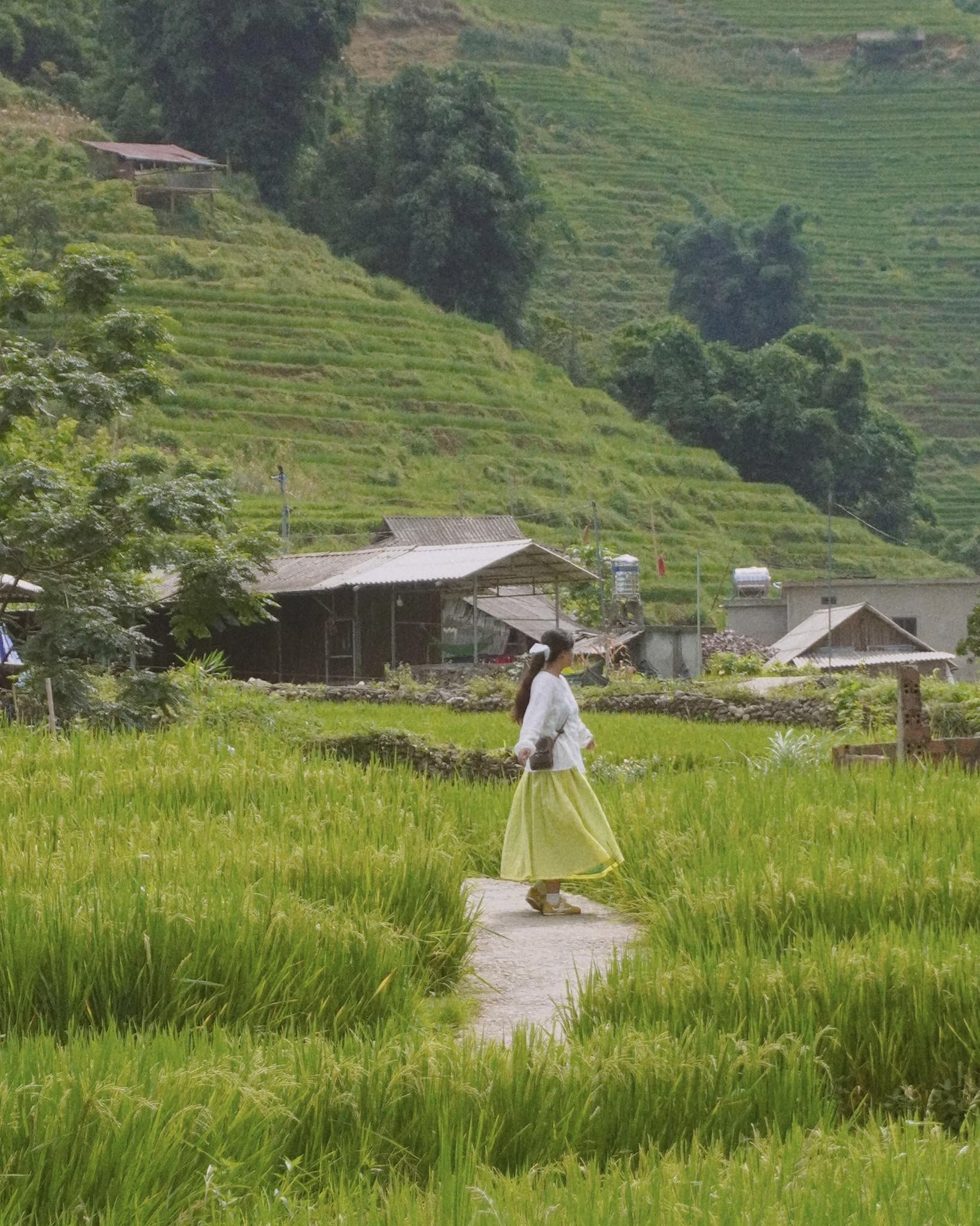 Lao Chai cach trung tam Sa Pa khoang 7km la noi cu tru cua dong bao HMong, Dao... Lao Chai cung Ta Van la hai ban lang lon duoc om tron boi hai day nui Hoang Lien Son va Ham Rong. Du khach den Lao Chai chi can di bo trekking hoac thue xe may den, lang thang cac cung duong mon. Mua nay nhung thua ruong o Lao Chai dang xanh muot mat, canh thien nhien hoa tron nhip song yen binh lam say long du khach phuong xa.