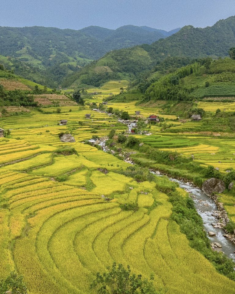 Do Van Anh (que Hung Yen) chia se: “Tu Sa Pa toi Nam Cang khoang 40km duong giong nhu 2 nam truoc minh tung di, chay xe may xuong day khong qua kho ke ca voi cac ban nu. Tren duong di co the dung chan ngam canh tai nhieu diem dep, nhat la vao mua lua chin. Hien lua Nam Cang chin som hon cac noi khac tai Sa Pa va nguoi dan bat dau gat nhieu, neu co du dinh ban hay di som“.