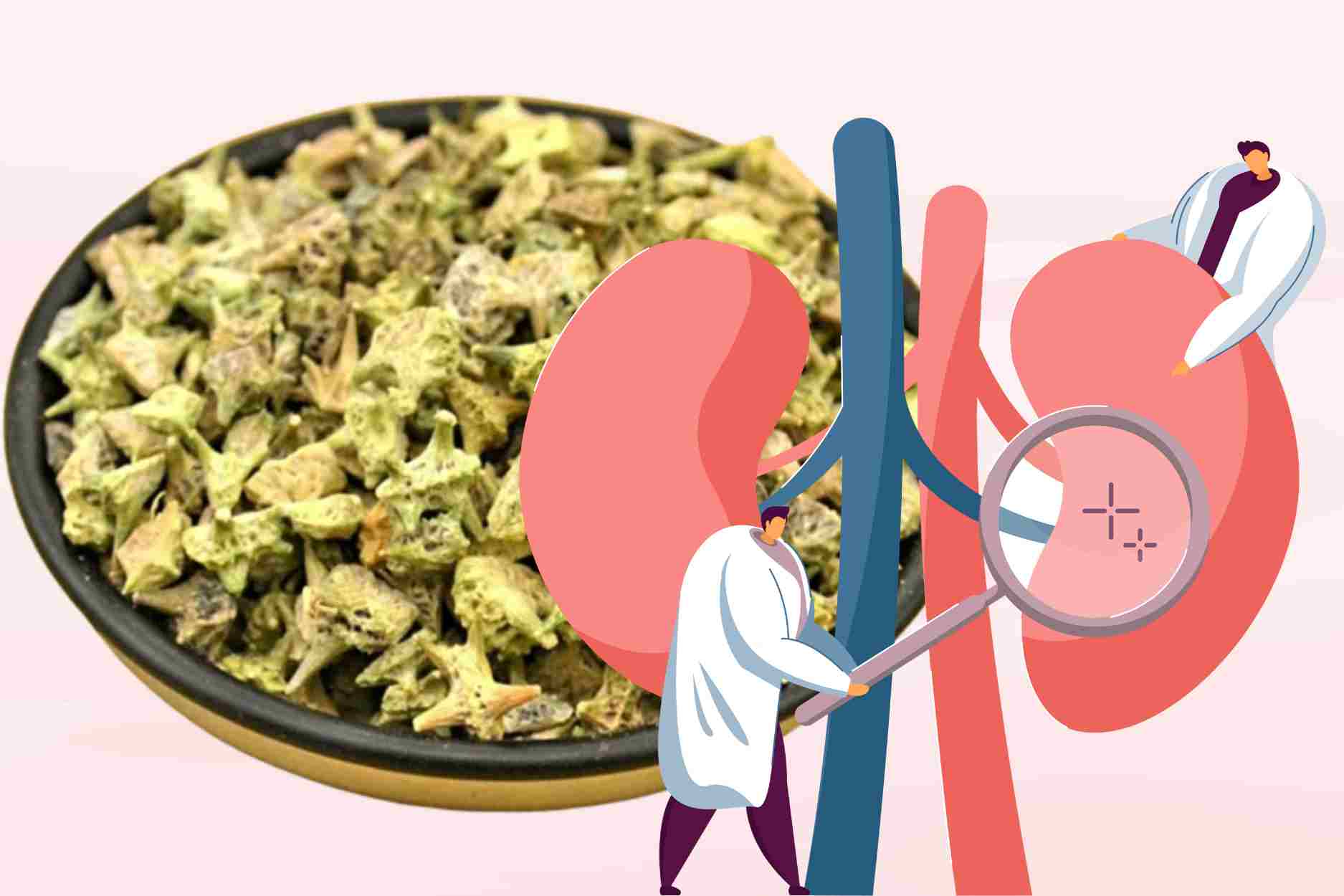 La pharmacotherapie naturelle aide a renforcer les reins et a ameliorer la physiologie masculine