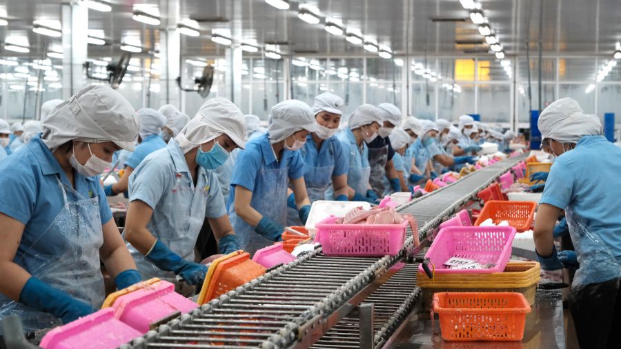 Indian Ocean One Member Company Limitedは、フィレットで多くの労働者を採用し、形作っています。写真：私のly