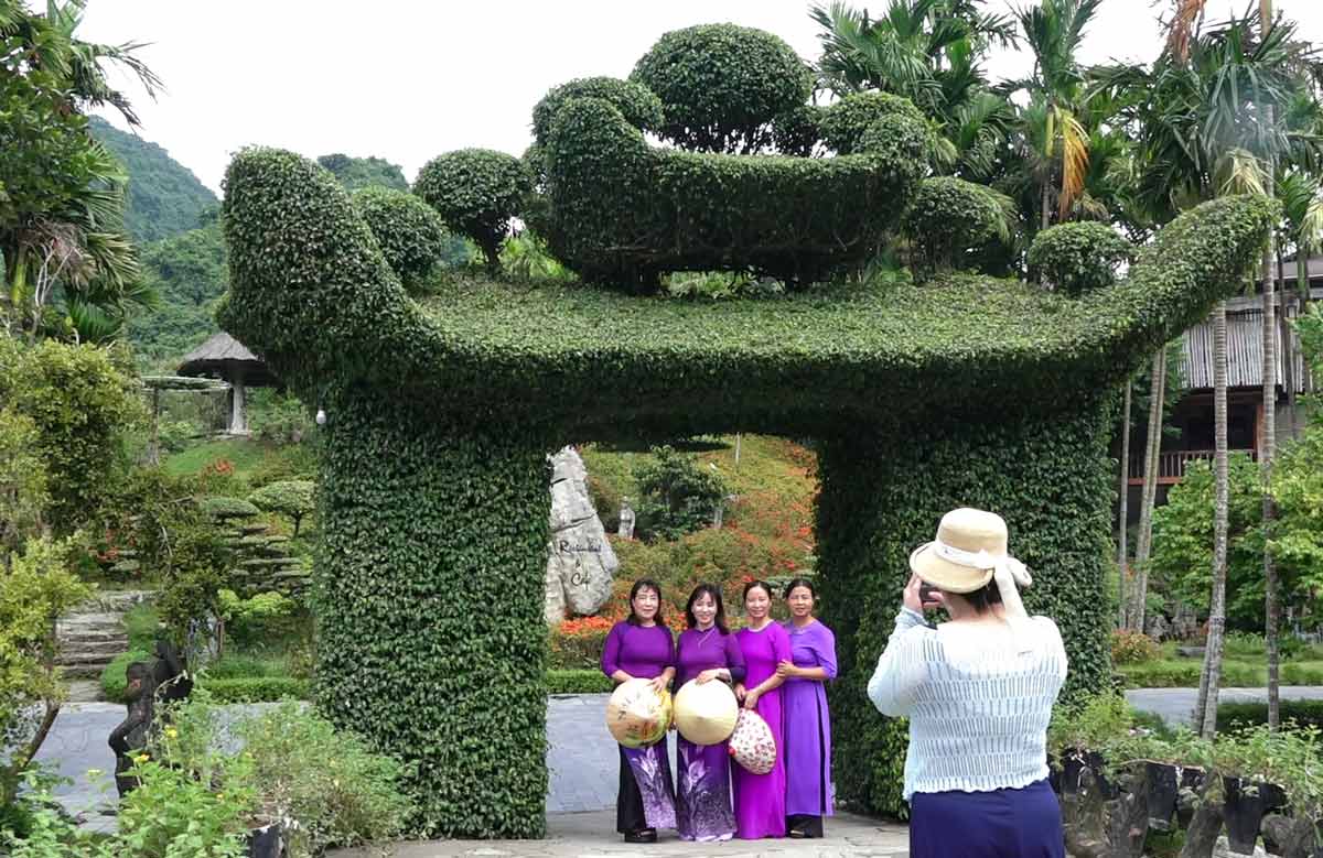 20 years of creating 8 banyan trees to form a pagoda gate in Ninh Binh. Photo: Ha Vi