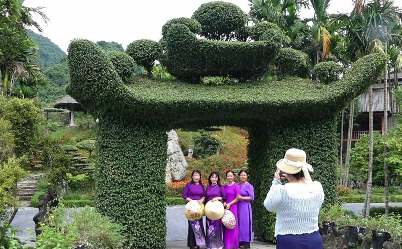 20 years of creating 8 banyan trees to form a pagoda gate in Ninh Binh. Photo: Ha Vi