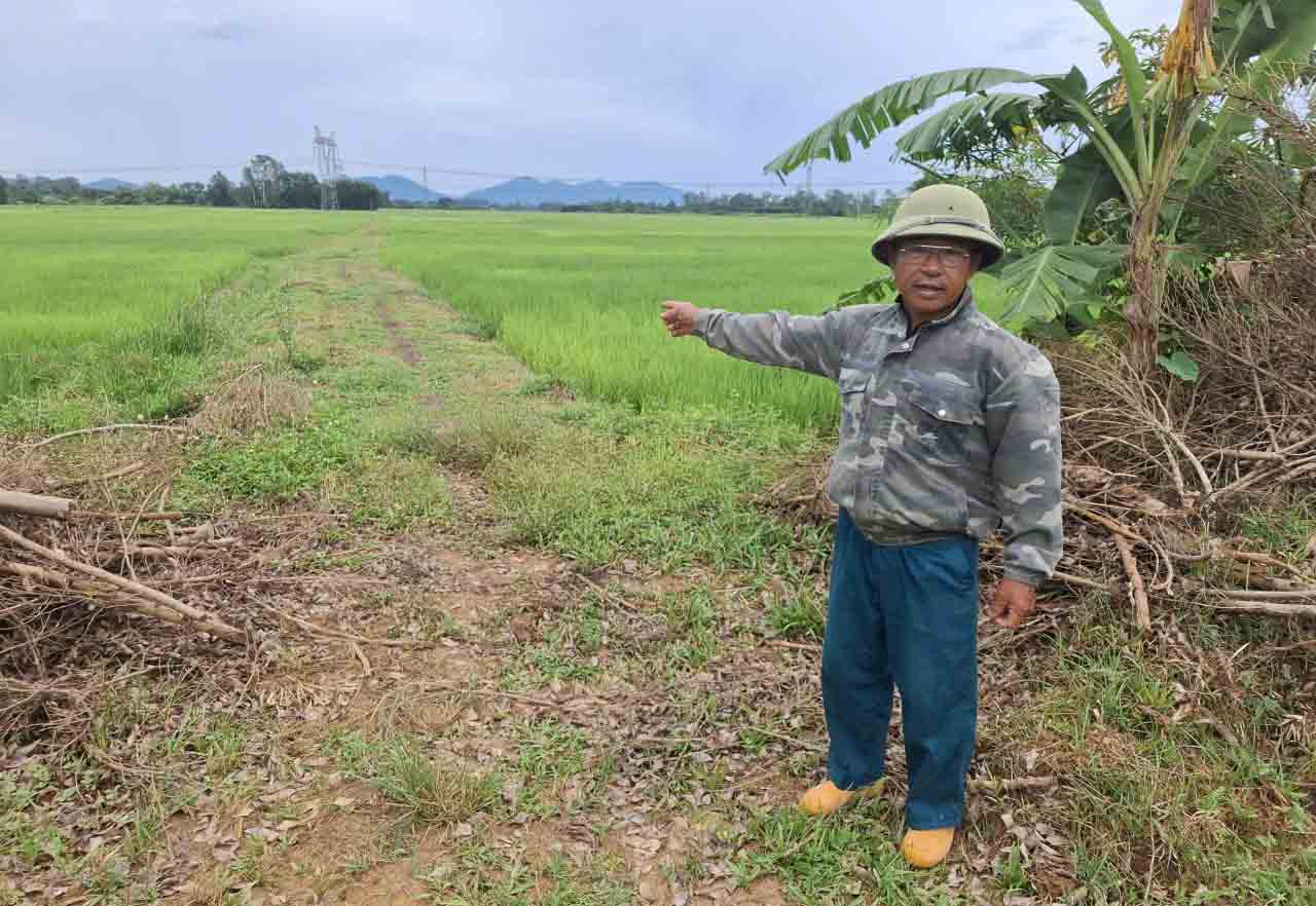 Ong Cuong chi con duong dong ruong ma hang chuc nam nay anh Thuyet phai di lai rat kho khan. Anh: Tran Tuan.