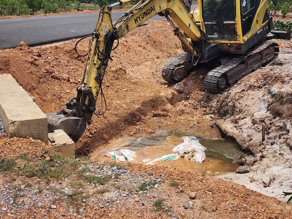5 dead pigs were found stuck in sacks and thrown into drainage. Photo: H. Nguyen