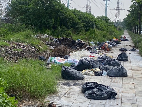 Diem den ve rac thai tai duong Pham Tu, Ha Noi. Anh: Trang Linh