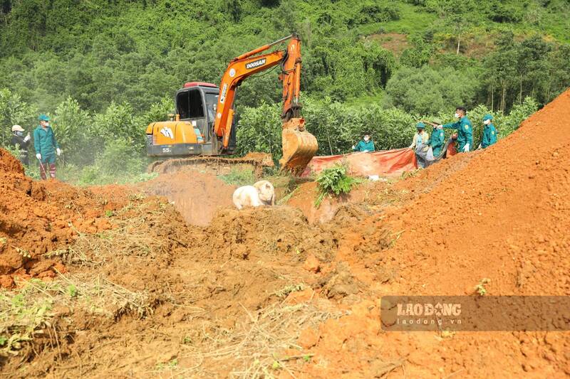 トゥエンクアン省でアフリカ豚疫病に感染した豚を処分。写真:Viet Bac.