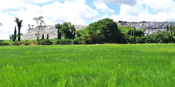 Ca Mau省ヴィン・ロウコミューンに集中するゴミ捨て場は長年過負荷状態でしたが、Bac Lieu省の古い地域にはゴミ処理工場がないため、現在も受け入れなければなりません。写真:ニャット・ホー