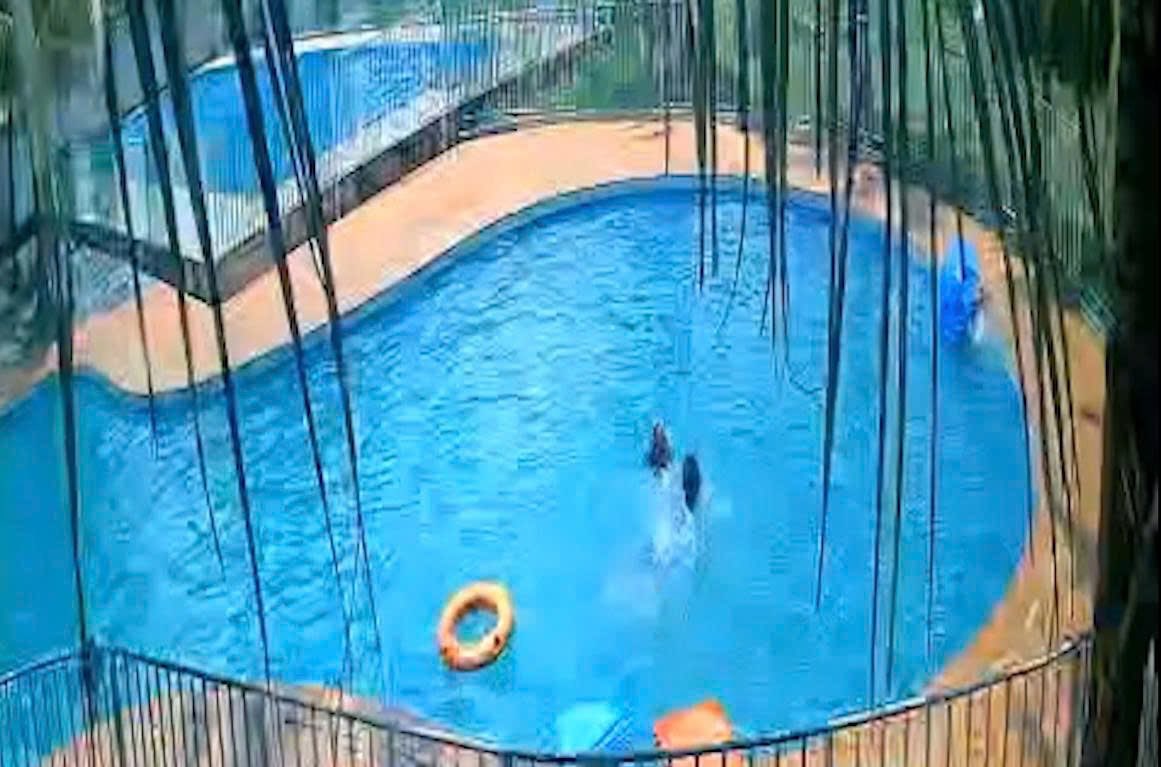 警察は、ドンナイ省の7歳の少女がプールで死亡した事件の原因を調査中です。写真:HAC