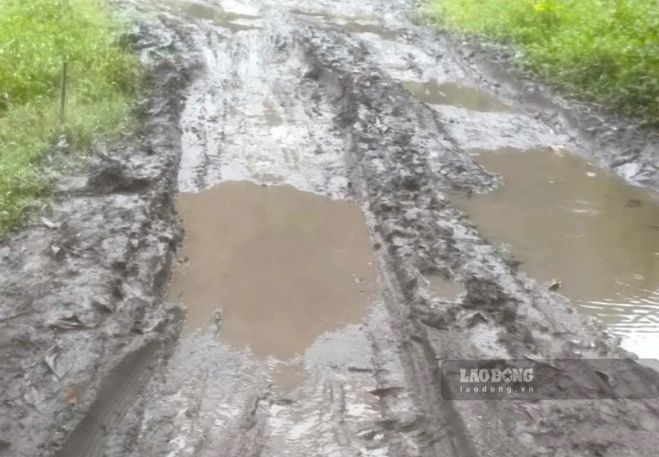 Vu viec keo dai nhieu nam khong duoc giai quyet triet de khien nguoi dan buc xuc. Anh: Van Duc
