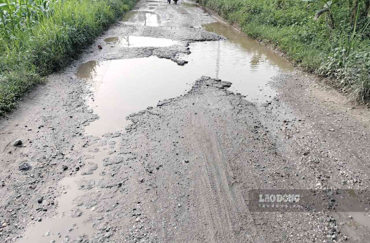 Duong tu khu cho Hong Quang vao mo than bi pha nat, o ga, ho voi lom chom. Anh: Van Duc