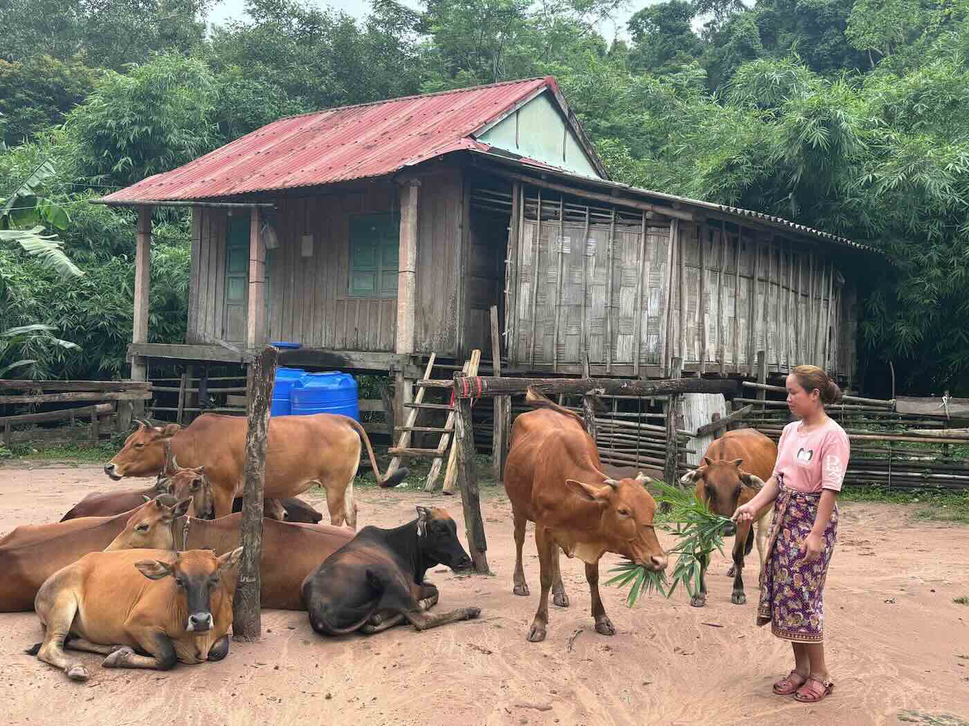 Nearly 6 billion VND in preferential capital has been supported for the Ma Coong people to develop their economy. Photo: Hai Lien