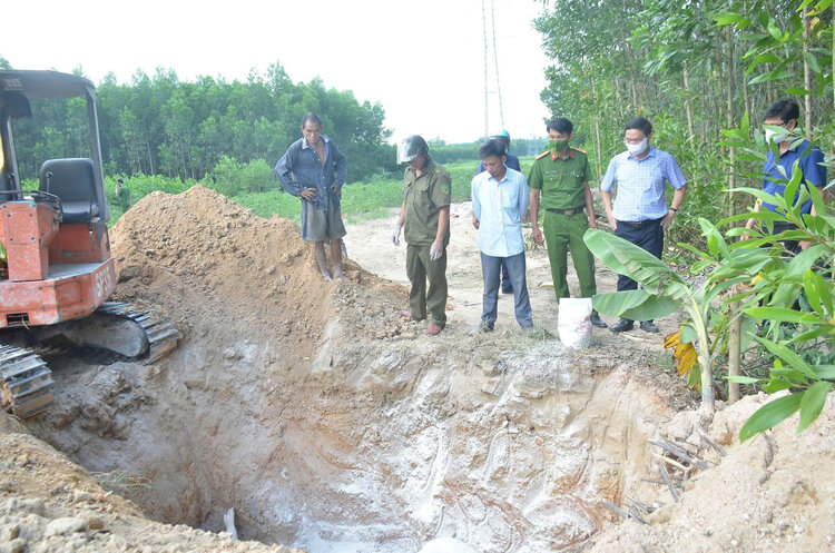 Luc luong chuc nang xa Ba Gia, tinh Quang Ngai dao ho tieu huy so lon bi dich ta lon chau Phi. Anh: Thien Bao