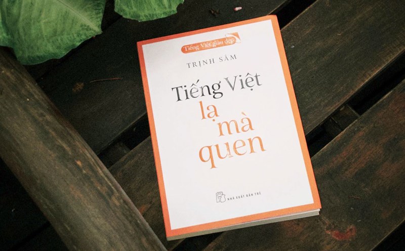 Book "Vietnamese - Foreign currency is familiar". Photo: Publishing House