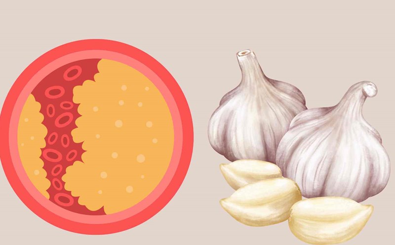 A surprising spice that effectively reduces blood fat. Graphic photo: Hoang Loc