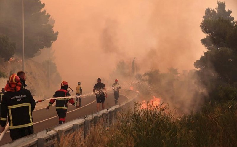 A forest fire in Europe in June 2025. Photo: Xinhua