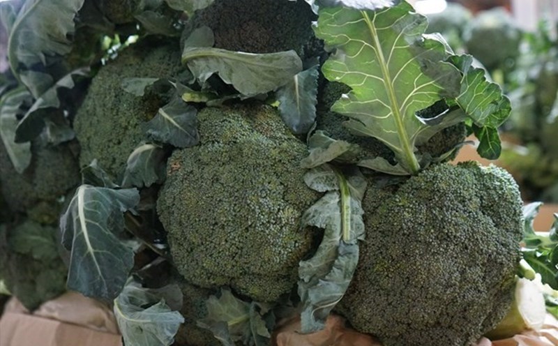 Eating cruciferous vegetables helps reduce belly fat. Photo: Thanh Thanh