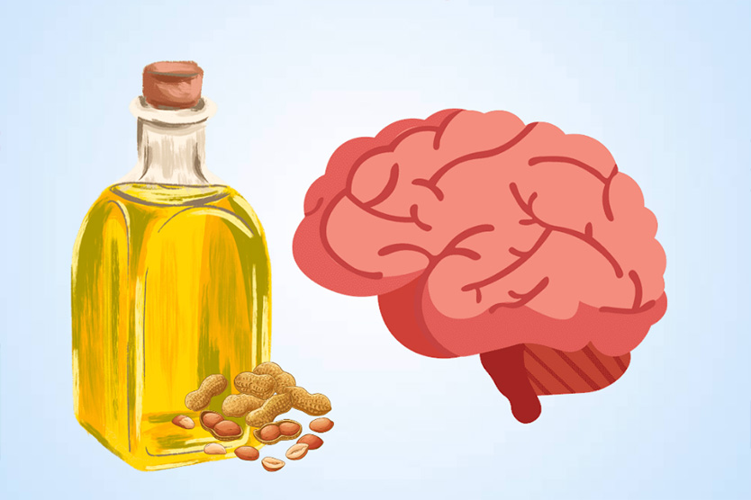 脳への lac 油の利点。グラフィック: Thien Nhan