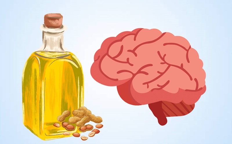 Benefits of peanut oil for the brain. Graphics: Thien Nhan