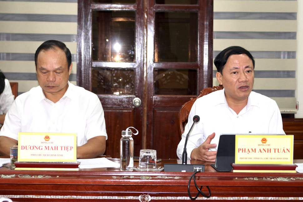 Chu tich UBND tinh Gia Lai Pham Anh Tuan kien nghi. Anh: Cong thong tin Gia Lai