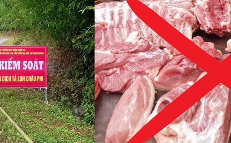 Localities in Cao Bang are using many ways to control African swine fever. Photo: Tan Van