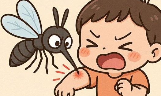 Những triệu chứng cảnh báo bệnh chikungunya bạn không nên bỏ qua