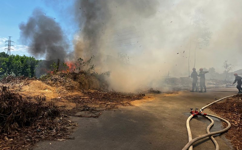 Extinguished the fire of 3,000m2 of ground cover at Da Nang City Cemetery. Photo: Quoc Dung