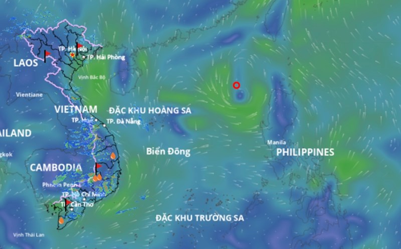 Updated location of the tropical depression at 3:00 p.m. on August 8. Source: Vietnam Disaster Monitoring System