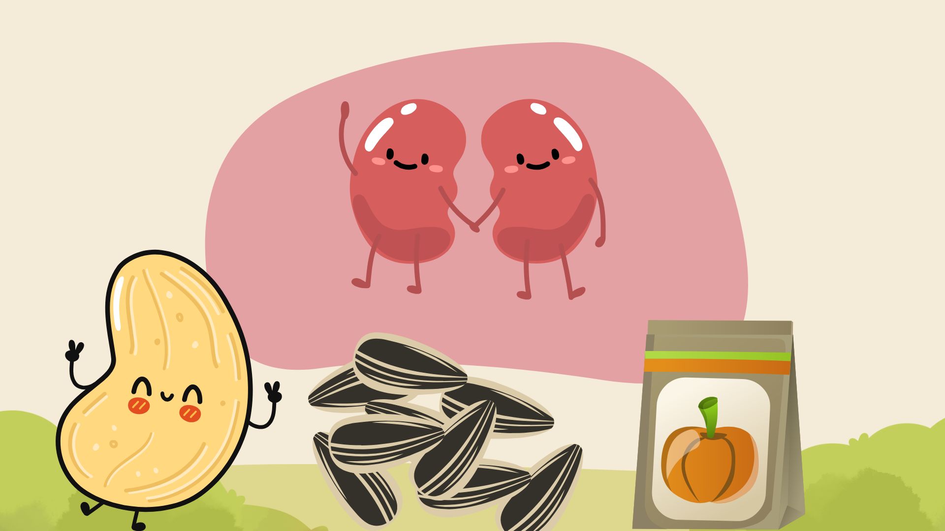 Seeds are a rich source of protein, good for kidney and liver health. Graphic photo: Huong Son