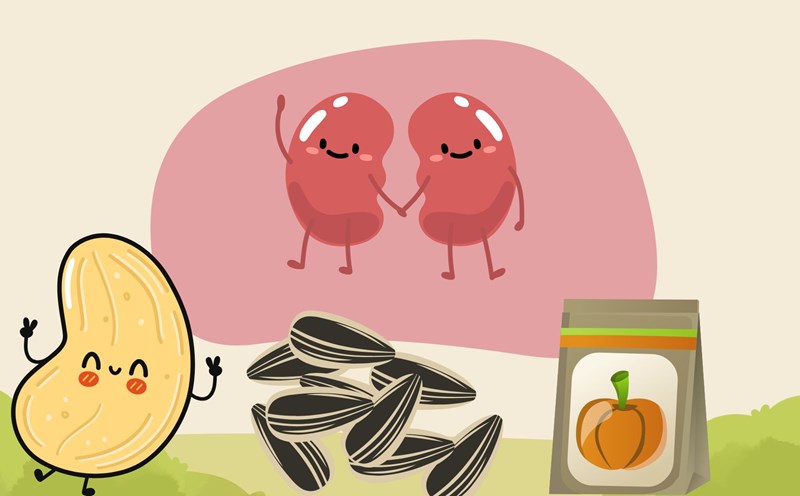 Seeds are a rich source of protein, good for kidney and liver health. Graphic photo: Huong Son