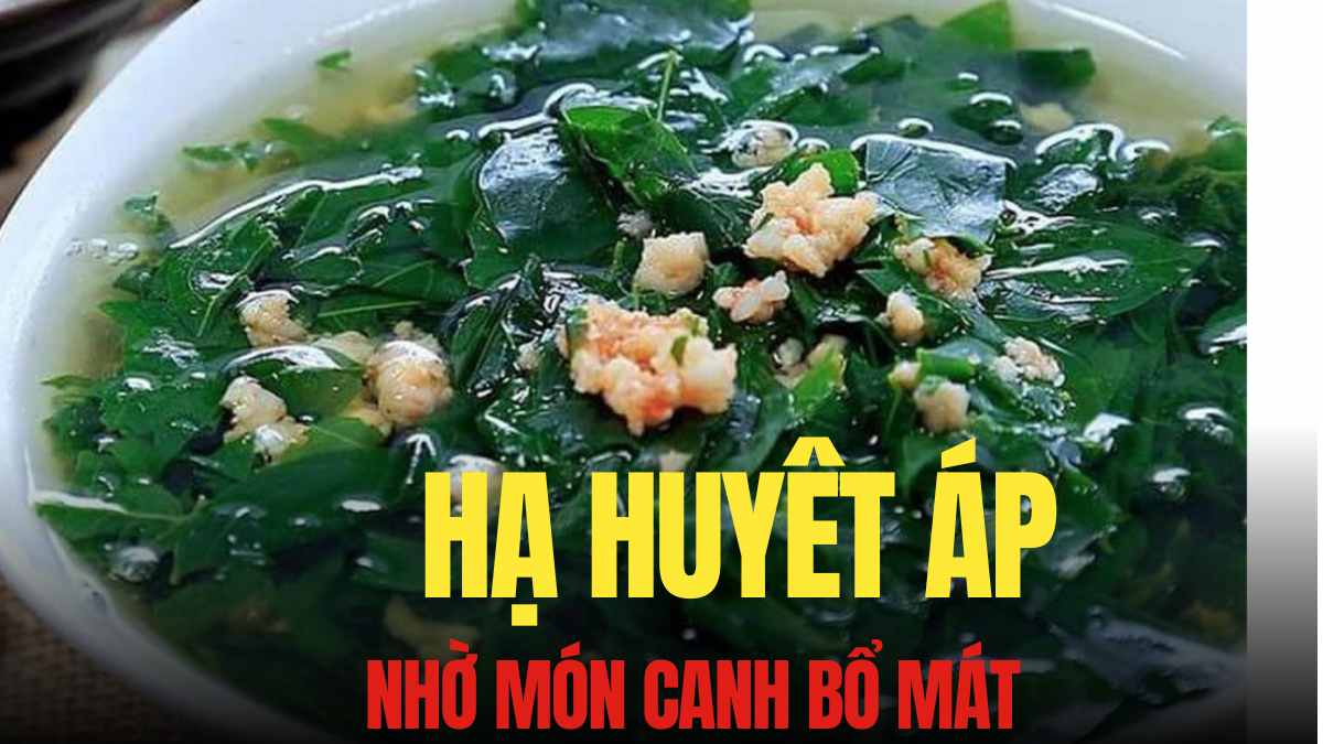 Le rau ngot est pauvre en sucre riche en vitamine A bon pour les personnes qui doivent controler leur glycemie et abaisser leur tension arterielle. Graphique : Tra My