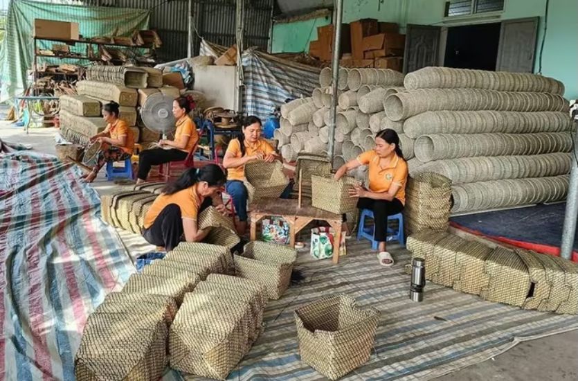 Tan Tho 협동조합은 500명 이상의 취약 노동자에게 일자리를 제공합니다. 사진: Quach Du