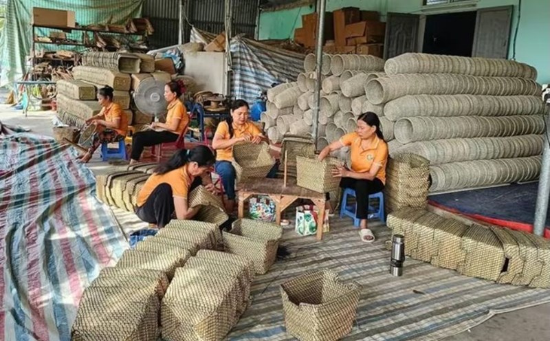 Tan Tho Cooperative creates jobs for more than 500 disadvantaged workers. Photo: Quach Du