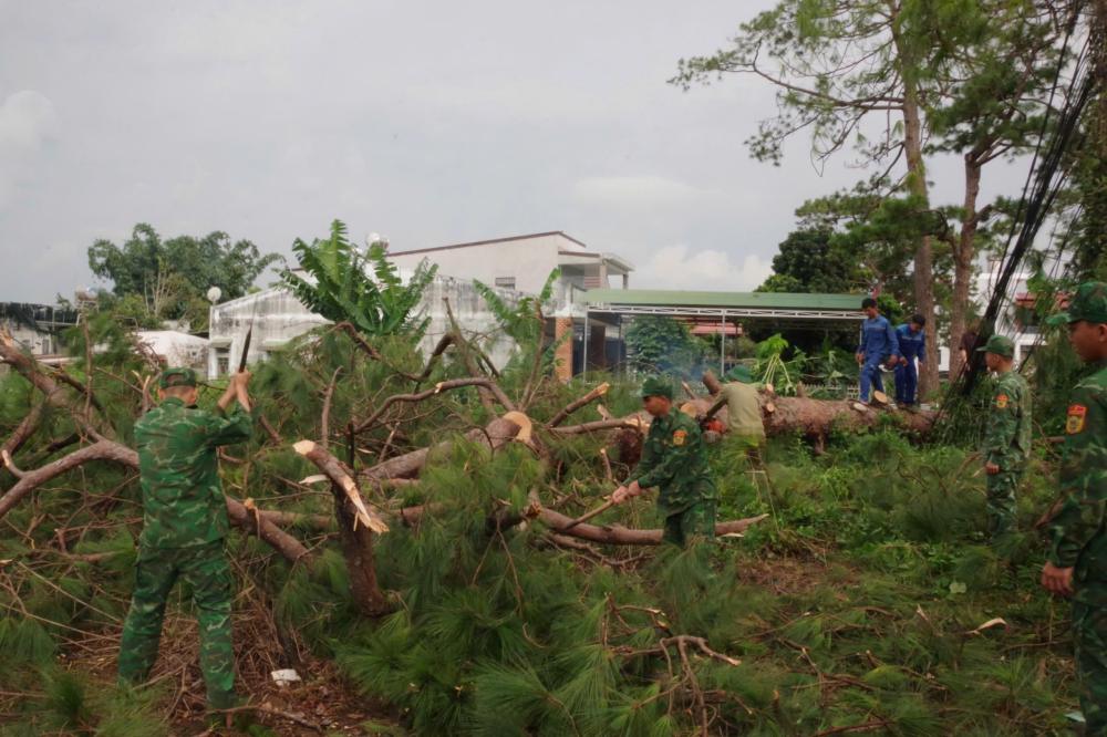Lam Dong Provincial Border Guard supports people to overcome the consequences of the storm. Photo: Ngoc Lam
