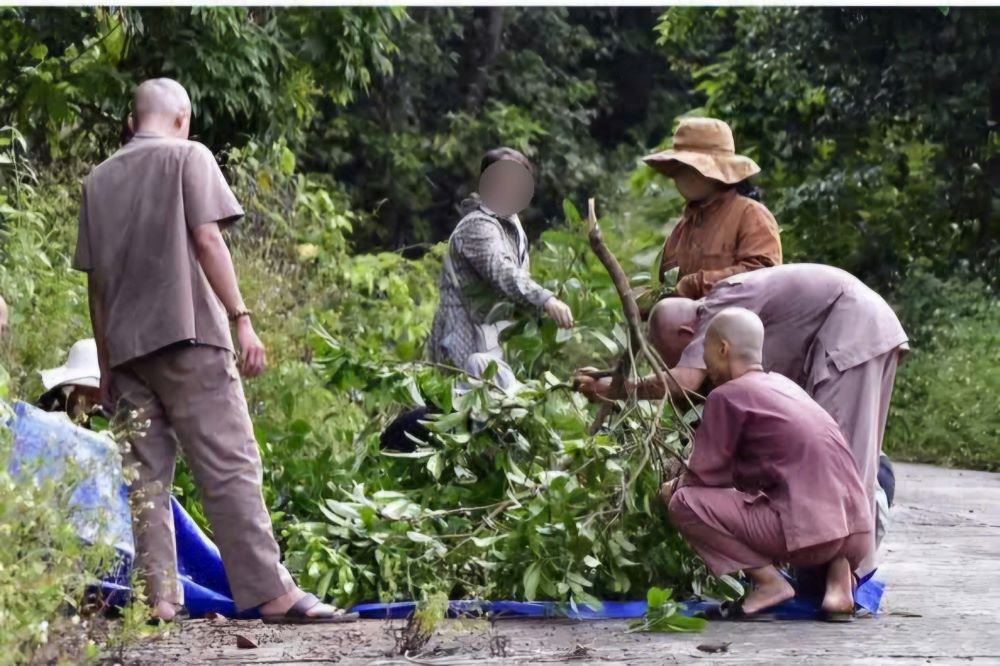 ダナン半島のソンチャでブドウやリンゴを摘んだグループに1億2500万ドンの罰金。写真:Mai Vy