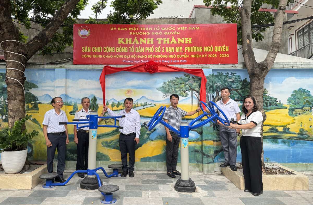 Khanh thanh San choi cong dong tai To dan pho so 3 Van My. Ảnh: Phuong Ngo Quyen, Hai Phong