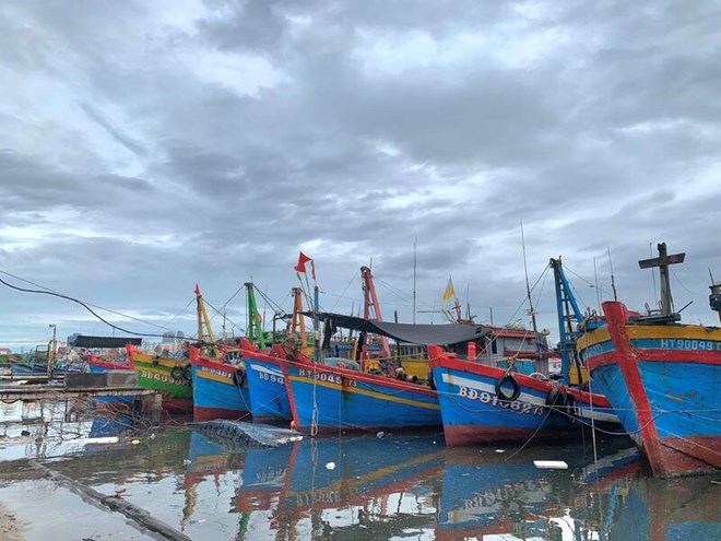 Da Nang has 473 fishing vessels installed with voyage monitoring equipment. Photo: Nguyen Linh