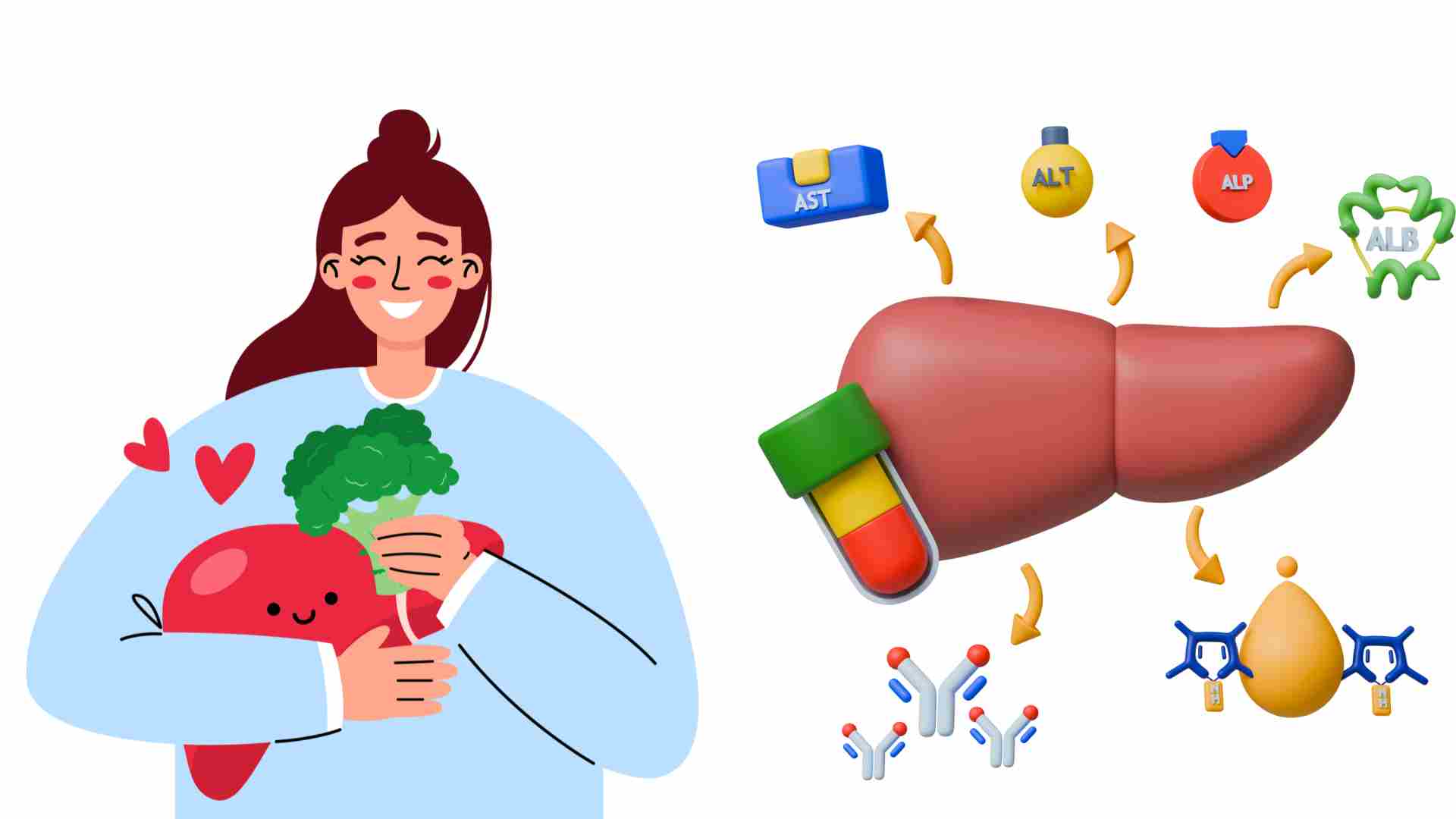 肝機能を高めるのに役立ついくつかの良い習慣を維持してください。グラフィック:Ha May